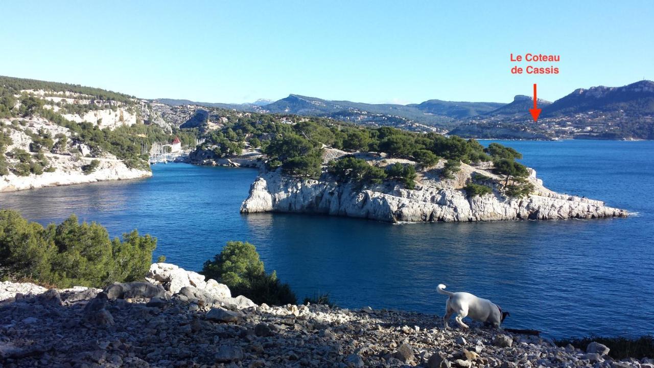 Large Private Garden, Quiet 2-Bedroom Apartment, Air Conditioning, Wifi, Parking Cassis Kültér fotó