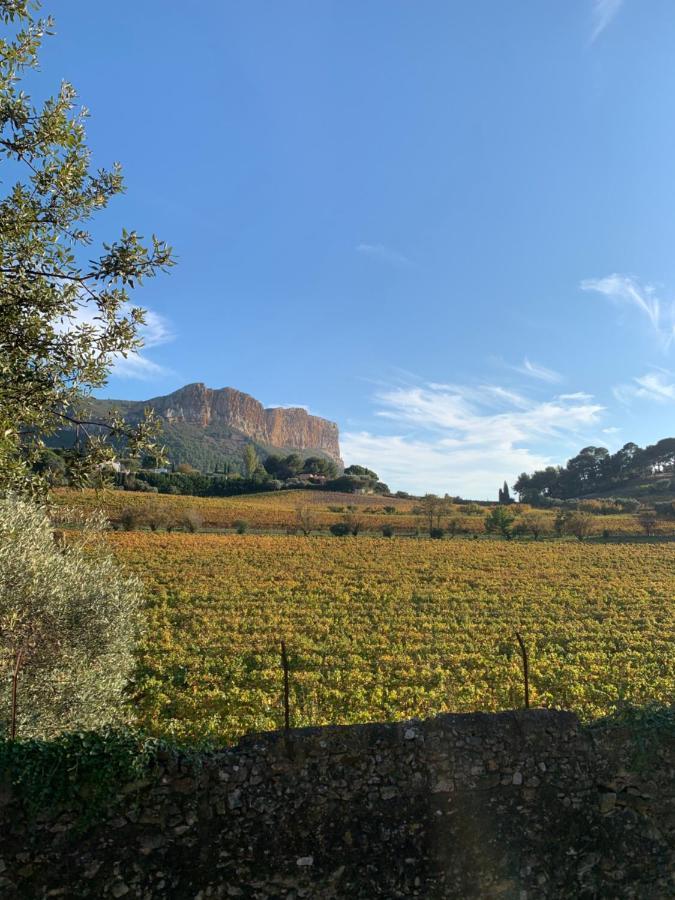 Large Private Garden, Quiet 2-Bedroom Apartment, Air Conditioning, Wifi, Parking Cassis Kültér fotó