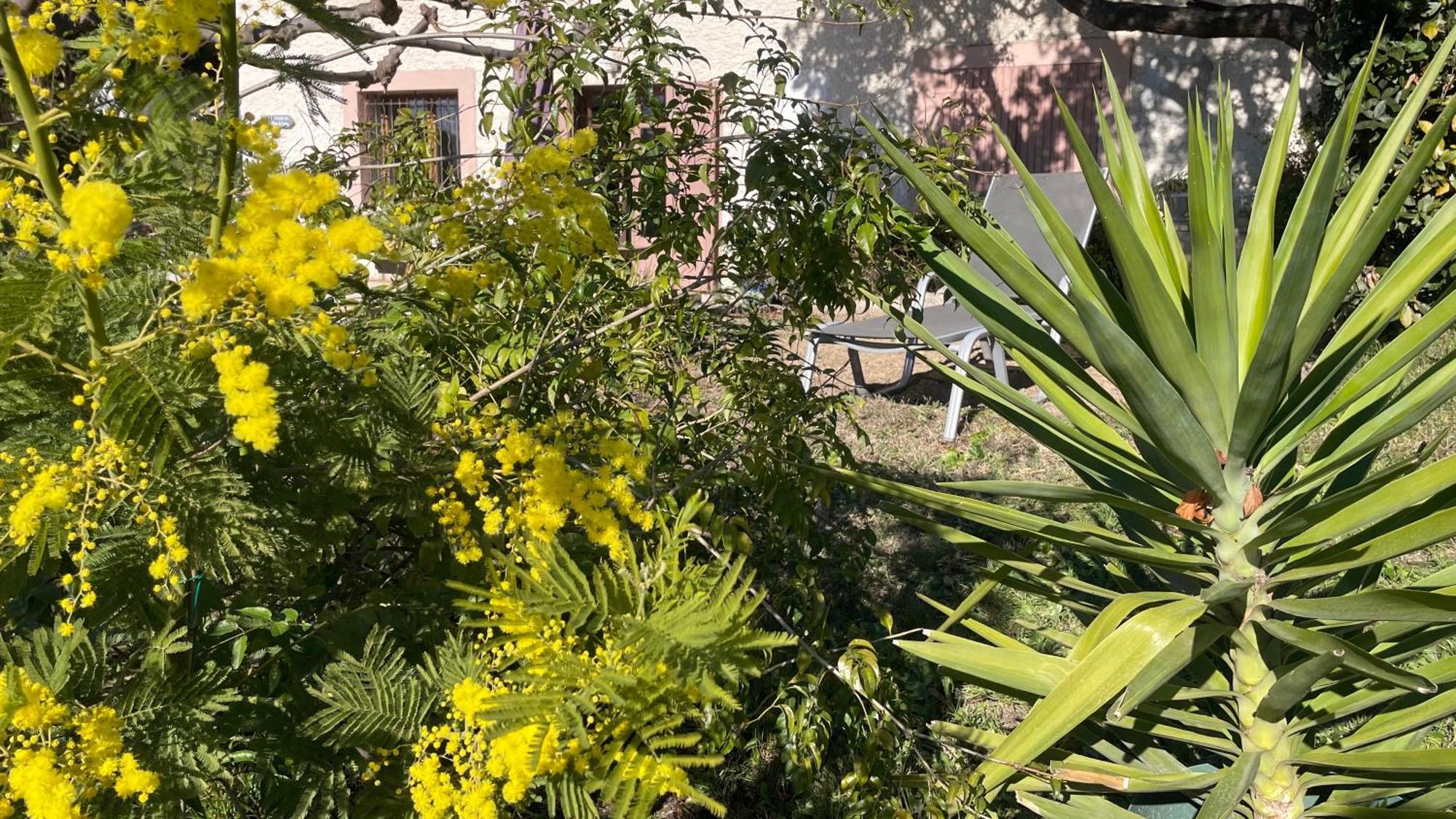 Large Private Garden, Quiet 2-Bedroom Apartment, Air Conditioning, Wifi, Parking Cassis Kültér fotó